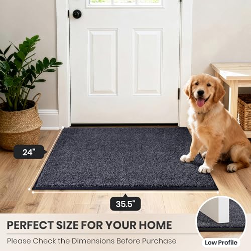 Dirt Trapping Indoor Door Mat