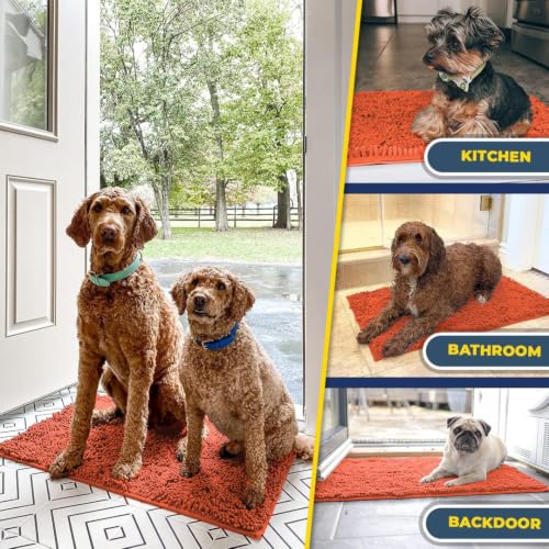 Super Water Absorbent Door Mat Indoor (7 Sq Ft)