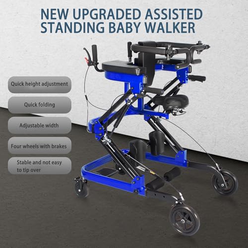 Rehabilitation Walker with Stand