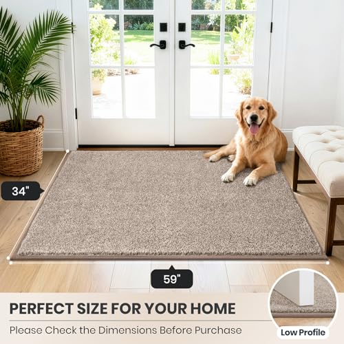 Dirt Trapping Indoor Door Mat