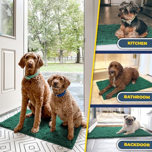 Super Water Absorbent Door Mat Indoor