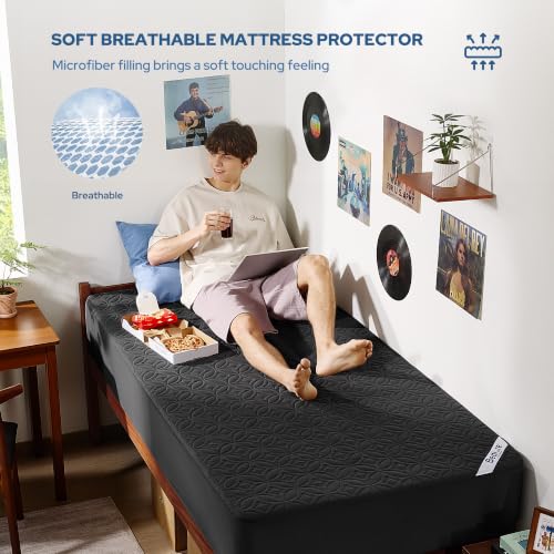 2 Pack Waterproof Mattress Protector Twin XL (2 Count)