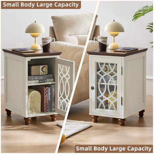 Narrow Side Table Set 2 with Glass Door Storage (2 Count)