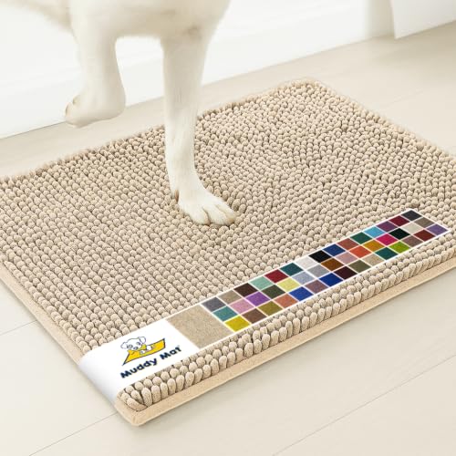 Super Water Absorbent Door Mat Indoor