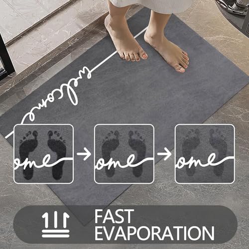 Ultra Thin Indoor Door Mat (5.8333 Sq Ft)