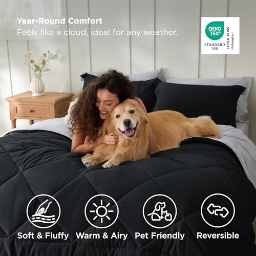Oversized Queen Comforter Set
