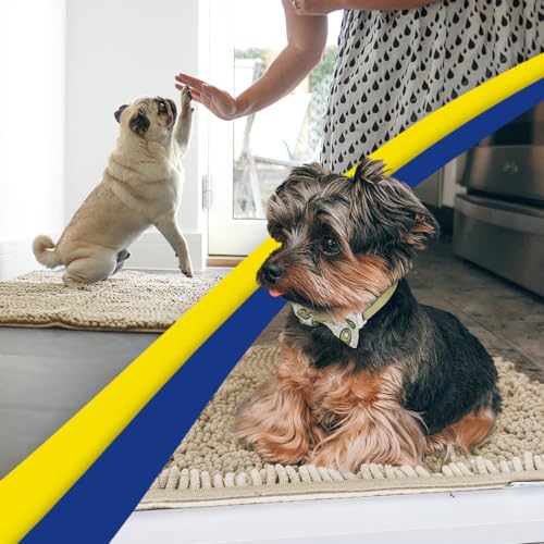 Super Water Absorbent Door Mat Indoor