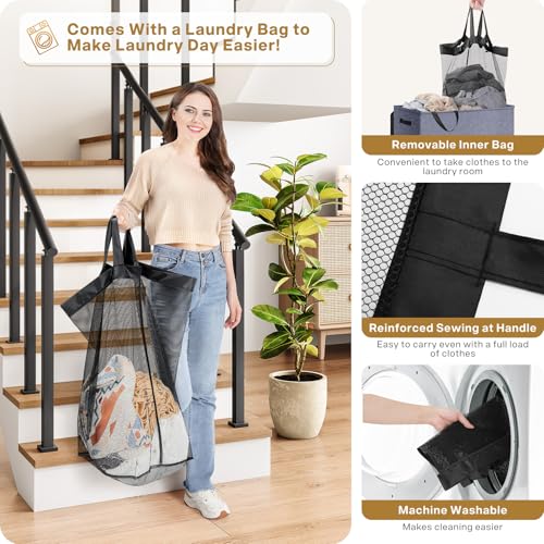 Large Double Laundry Hamper with Lid