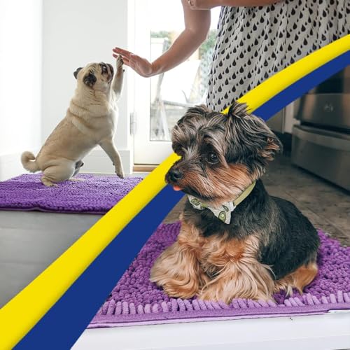 Super Water Absorbent Door Mat Indoor (16 Sq Ft)