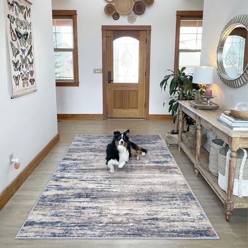 Area Rug 6x9 Modern Ombre Thin Rugs for Living Room