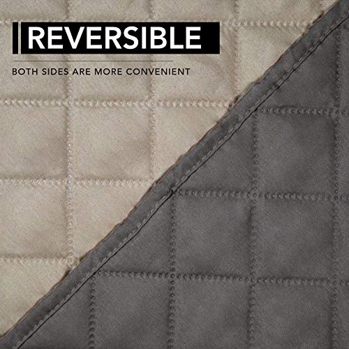 Reversible Couch Cover