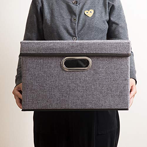Foldable Storage Boxes with Lids [3 (3 Count)