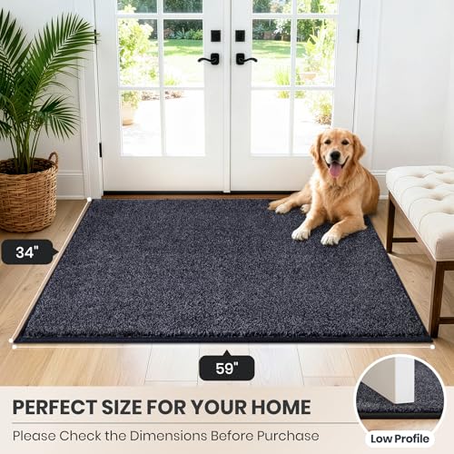 Dirt Trapping Indoor Door Mat