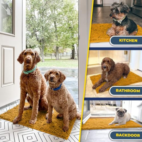 Super Water Absorbent Door Mat Indoor (16 Sq Ft)