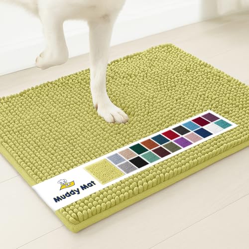 Super Water Absorbent Door Mat Indoor
