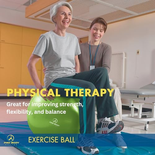 Yoga Ball Vibrant Colors Exercise Ball