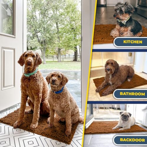 Super Water Absorbent Door Mat Indoor (5 Sq Ft)