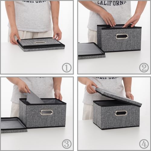 Storage Bins with Lids [3 (3 Count)