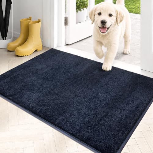 Dirt Trapping Indoor Door Mat