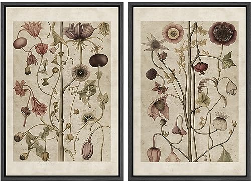 Framed Canvas Print Wall Art Wildflower Floral Botanical Nature Illustration Modern Art Decorative Multicolor Geometric Minimal for Bedroom (2 Count)