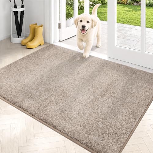 Dirt Trapping Indoor Door Mat