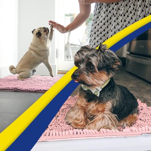 Super Water Absorbent Door Mat Indoor