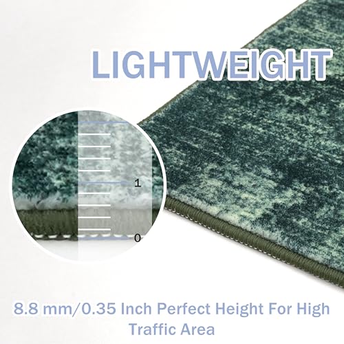 Abstract Area Rug 4x6 Ft Washable Rugs for Entryway Indoor