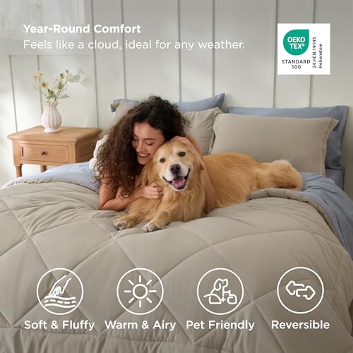 Queen Comforter Set
