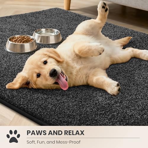 Dirt Trapping Indoor Door Mat
