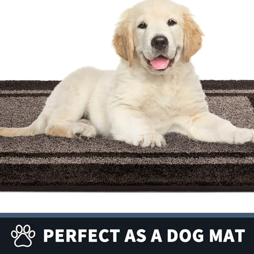 Dirt Trapping Indoor Door Mat