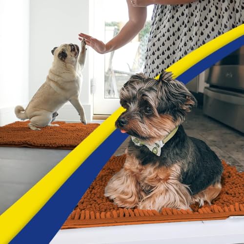 Super Water Absorbent Door Mat Indoor