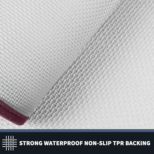 Dirt Trapping Indoor Door Mat