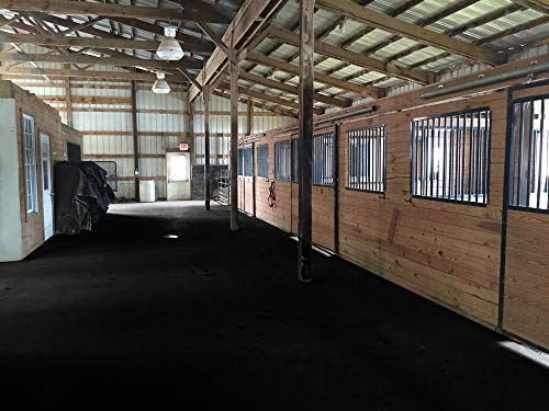 American Heavy Duty Rubber Stall Mats (16 Sq Ft)