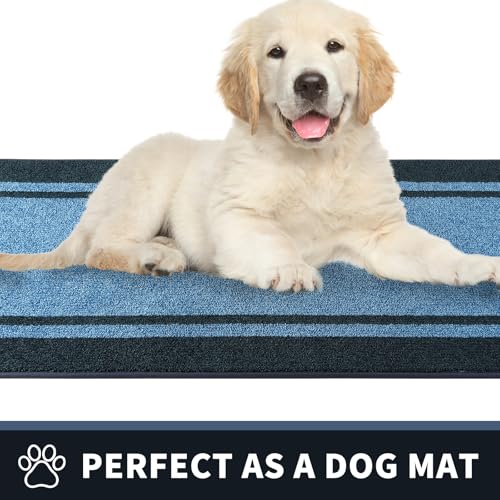 Dirt Trapping Indoor Door Mat
