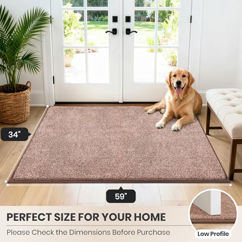 Dirt Trapping Indoor Door Mat