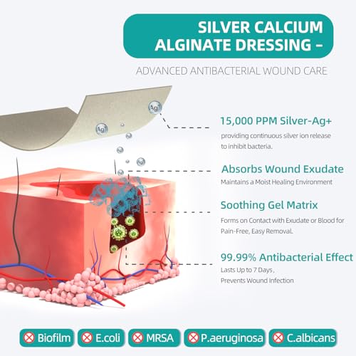 Upgrade Silver Calcium Alginate Wound Dressing (12 Count)