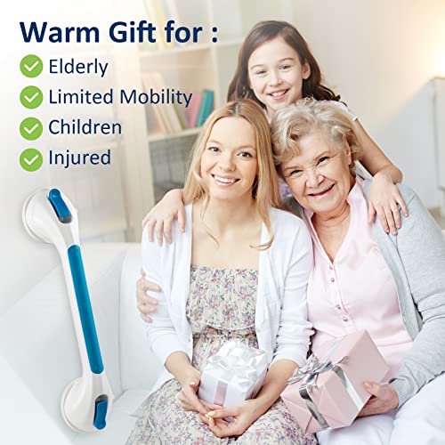 Grab Bars for Shower