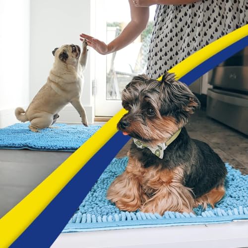 Super Water Absorbent Door Mat Indoor