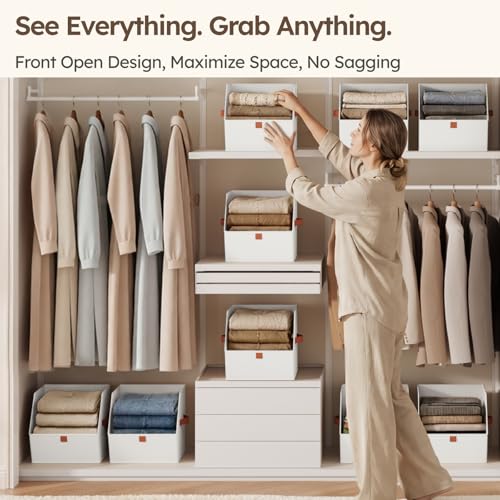 Fabric Closet Storage Cubes (6 Count)