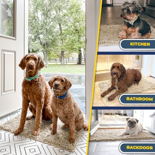 Super Water Absorbent Door Mat Indoor