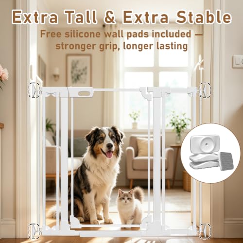 40" Extra Tall Clear Acrylic Dog Gate 57.87