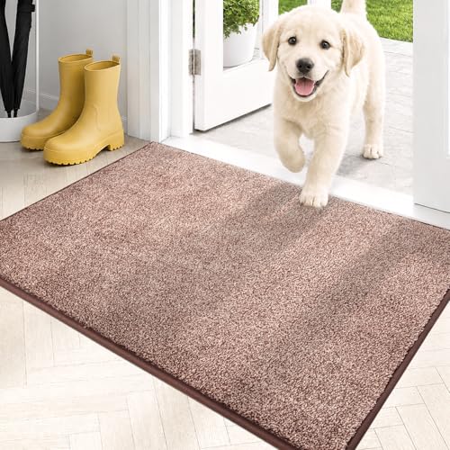 Dirt Trapping Indoor Door Mat
