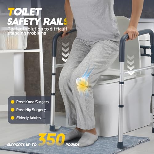 Toilet Safety Rails