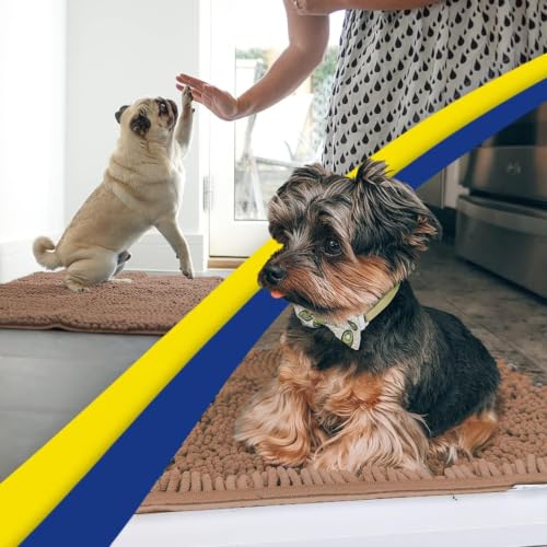 Super Water Absorbent Door Mat Indoor (10 Sq Ft)