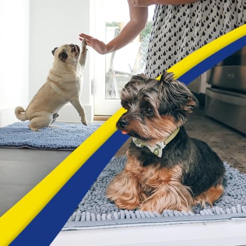 Super Water Absorbent Door Mat Indoor (6 Sq Ft)
