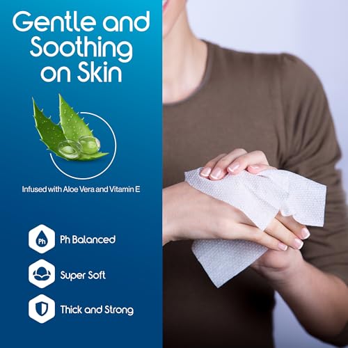 Adult Wet Wipes (300 Count)