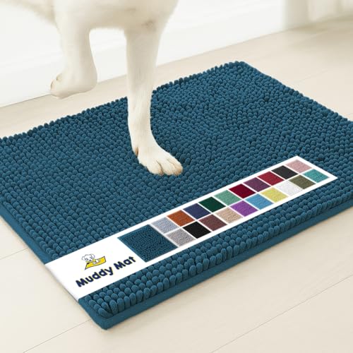 Super Water Absorbent Door Mat Indoor