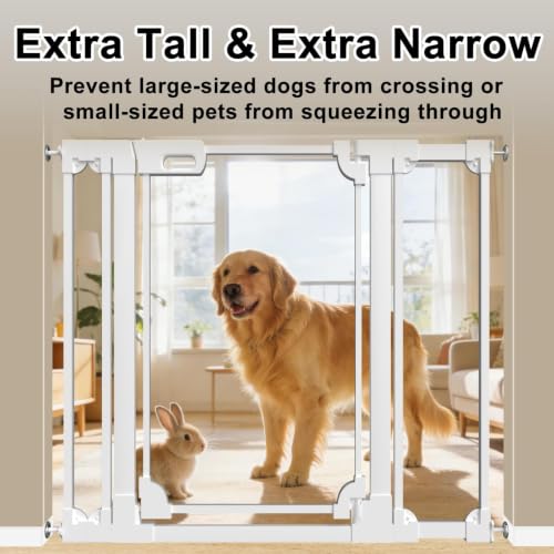 40" Extra Tall Clear Acrylic Dog Gate 29.52
