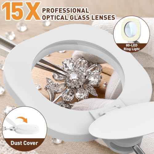 15X Magnifying Lamp with Light (9.5 Count)