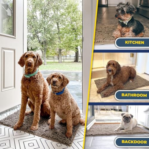 Super Water Absorbent Door Mat Indoor (16 Sq Ft)